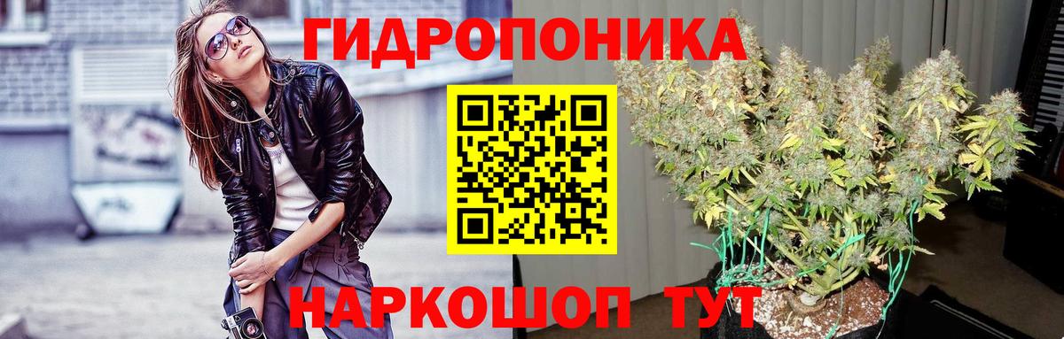 Канабис семена Долгопрудный